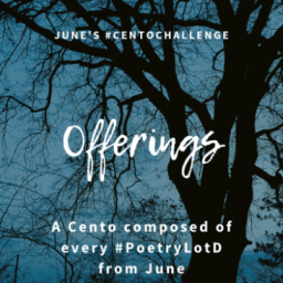 Poetry Quoted in Cento